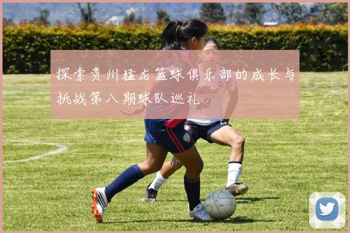 探索贵州猛龙篮球俱乐部的成长与挑战第八期球队巡礼